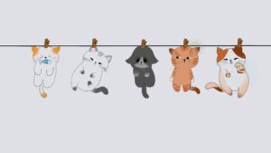 Petits chats mignons accrochés sur un fil mis pour adoucir les triggerwarning de l'article intitulé comment incarner un personnage à l'écrit ?